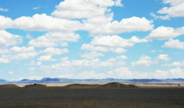 母似瀚海,探寻生命的广阔与深邃