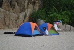 珊瑚营地,揭秘海洋生态宝库的绿色家园