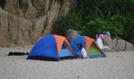 珊瑚营地,揭秘海洋生态宝库的绿色家园