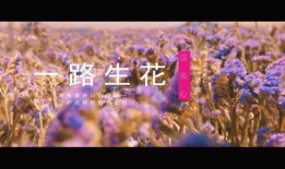 一路生花,探寻生命旅程中的美丽绽放