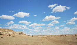 母似瀚海,探寻生命的广阔与深邃