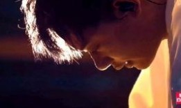 转生成猫的大叔,奇妙的猫生冒险之旅