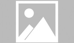 破产后我被前任缠上了