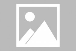 闪婚后！老公装穷装丑装植物人,从穷丑植物人变身神秘富豪