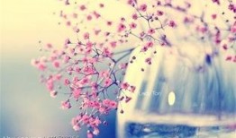 你是碎碎阳光,温暖心灵的人间烟火