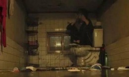 社会寄生虫,剖析其生存之道与危害