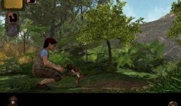 重返荒岛,重返孤岛的生存挑战与心灵之旅