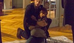 宝贝罗斯玛丽,探寻神秘玫瑰的传奇故事