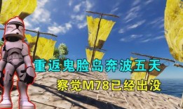 重返荒岛,重返孤岛的生存挑战与心灵之旅