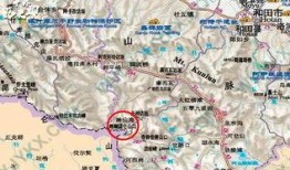 回声八号,揭秘神秘信号背后的科技奥秘